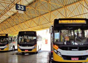 Ônibus do transporte coletivo intermunicipal. Empresas continuarão a operar sem licitação (Foto: Reprodução)