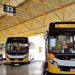 Ônibus do transporte coletivo intermunicipal. Empresas continuarão a operar sem licitação (Foto: Reprodução)