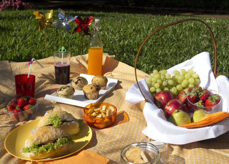 O Festival de Piquenique foi idealizado para ocorrer no mês de julho por causa das férias escolares / Foto: divulgação