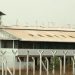 Presos foram recapturados por agentes penitenciários |Foto: Reprodução/TV Anhanguera