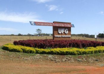 ufg-estado-greve