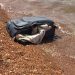 Corpo é encontrado dentro de mala às margens de lago em Brasília | Foto: Reprodução