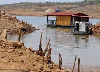 Polícia Federal prende quasrilja suspeita de praticar pesca clandestina e predatória no Lago Serra da Mesa| Foto: Minervino Junior/CB/D.A Press
