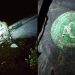 Tragédia envolvendo time da Chapecoense chocou o Brasil e o mundo | Foto: Reprodução