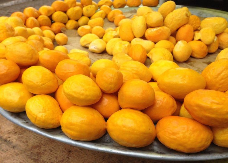 Feira Chocolate com Pequi é a nova feira de Goiânia| Foto: Divulgação