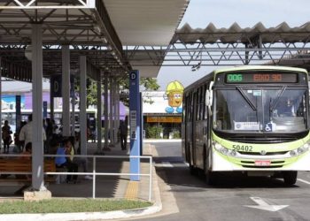 Assédio ocorreu dentro de ônibus em Aparecida de Goiânia | Foto: Reprodução