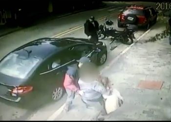 Câmera de segurança registrou coragem da avó ao proteger netos | Foto: Reprodução