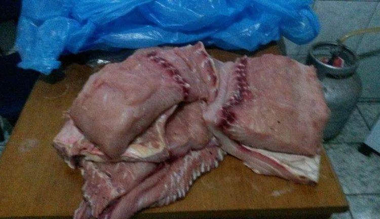 Pirarucu é espécie fragilizada pela ação dos pescadores predatórios | Foto: Divulgação