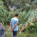 Amilton Leal de Souza foi preso após tentativa de latrocínio no Bairro Goiá | Foto: Divulgação/Polícia Civil