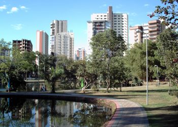 bosque dos buritis