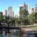 bosque dos buritis