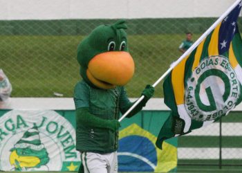 mascote