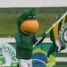 mascote