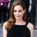 Novo interesse amoroso de Angelina Jolie seria um empresário e filantropo britânico desconhecido pela mídia internacional | Foto: Reprodução