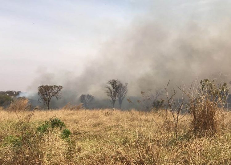 População ateou fogo em mata para afugentar assaltante | Foto: Leitor/WhatsApp