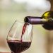 Festival de Vinhos em Goiânia | Imagem ilustrativa