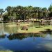Zoológico de Goiânia estará aberto das 8h às 17h | Foto: Divulgação