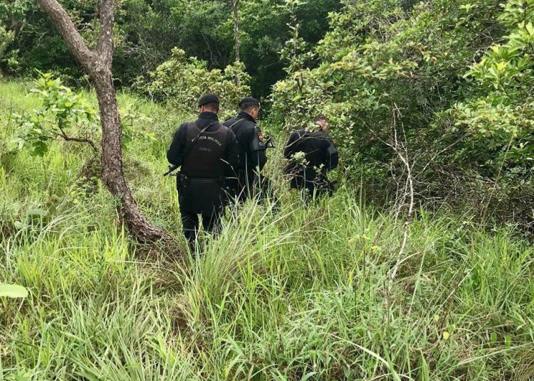 Criminosos fugiram para a mata. PM, com apoio de um helicóptero, faz buscas na região do Rio Caldas | Foto: ilustração