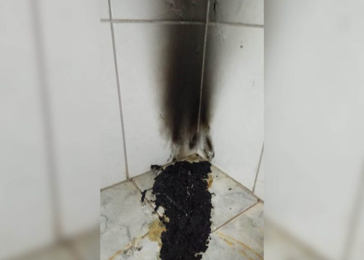 Polícia Militar salva mulher que tentava suicídio após colocar fogo no quarto | Foto: Divulgação/ PM