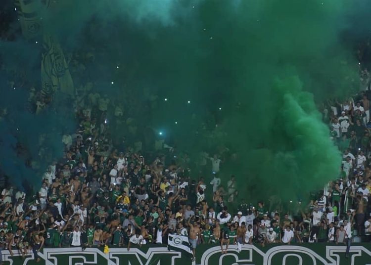 Venda de ingressos antecipados para Goiás e Avaí surpreende | Foto: Divulgação/ GEC