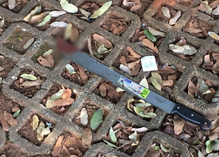 Facão utilizado para assassinar a vítima | Foto: Divulgação
