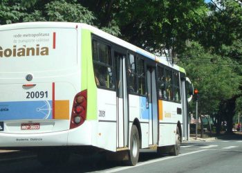 Animais domésticos poderão utilizar o transporte coletivo em Goiás, propõe deputado | Foto: Reprodução