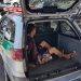 Com 28 anos, ele foi preso em flagrante após roubar dentro de um ônibus no Jardim América | Foto: Folha Z