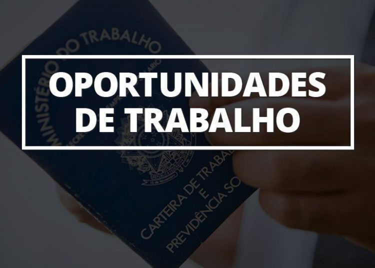 'Feirão de empregos' Goiânia