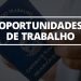 'Feirão de empregos' Goiânia