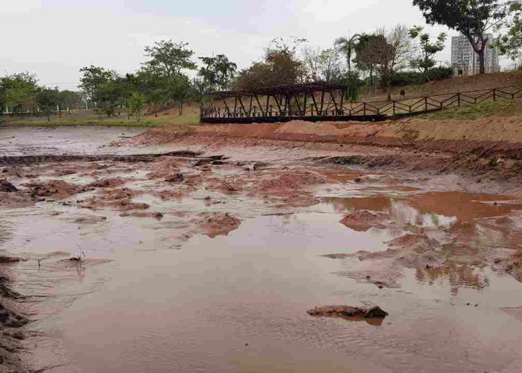 Dezenas de peixes mortos são retirados do Parque Cascavel | Foto: Folha Z