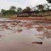 Dezenas de peixes mortos são retirados do Parque Cascavel | Foto: Folha Z
