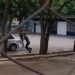 O suspeito praticava o crime no estacionamento da Sefaz - GO quando foi abordado por policiais e tentou fugir | Foto: Divulgação/ vídeo