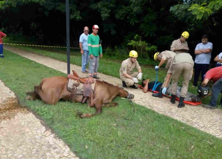 Quando uma equipe dos Bombeiros chegou, o homem estava caído e o cavalo sem vida | Foto: divulgação