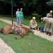 Quando uma equipe dos Bombeiros chegou, o homem estava caído e o cavalo sem vida | Foto: divulgação