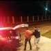 O suspeito foi detido na unidade da PRF, em Goiânia | Foto: divulgação