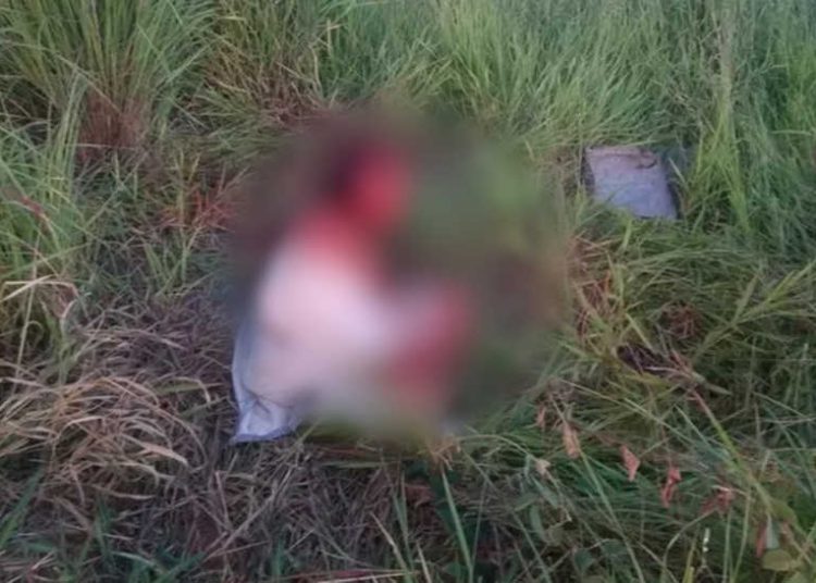 Ela estava ensanguentada e com sinais de espancamento ao ser encontrada por um morador do Setor Goiânia Sul, em Abadia | Foto: Reprodução