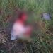 Ela estava ensanguentada e com sinais de espancamento ao ser encontrada por um morador do Setor Goiânia Sul, em Abadia | Foto: Reprodução