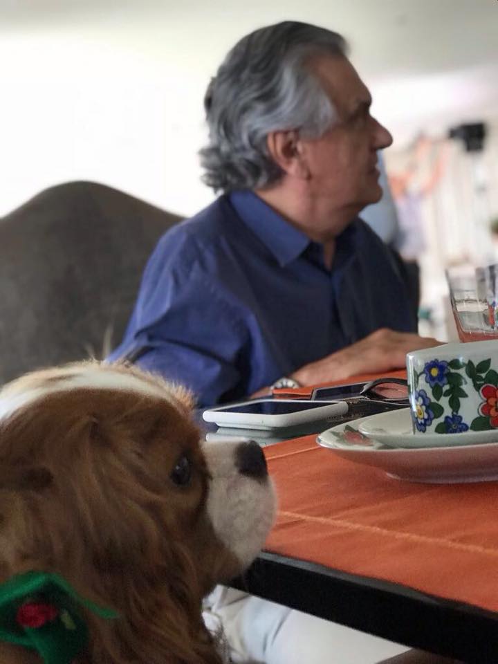 Cachorrinha Nikki é a companheira do governador Ronaldo Caiado no Palácio das Esmeraldas | Fotos: Reprodução / Redes Sociais