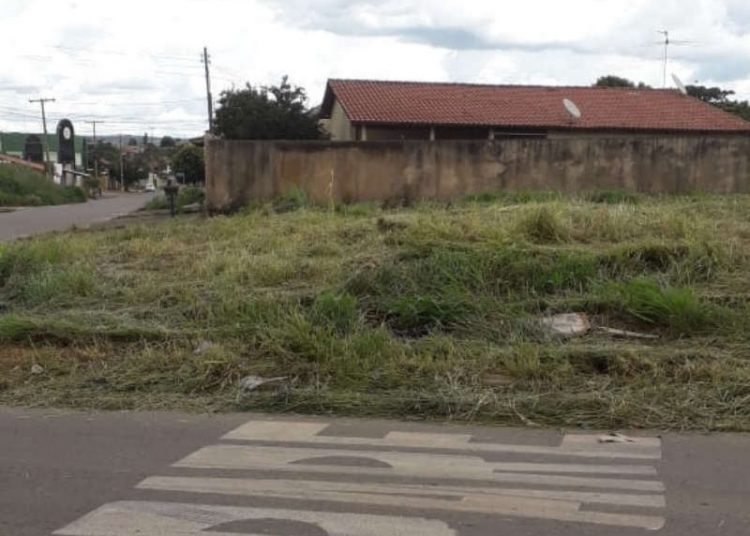Começa roçagem em etapas do Buriti Sereno, em Aparecida | Foto: Leitor / Whatsapp