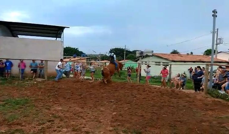Acidente em treino de montaria acaba com a morte de peão em MG | Foto: Reprodução