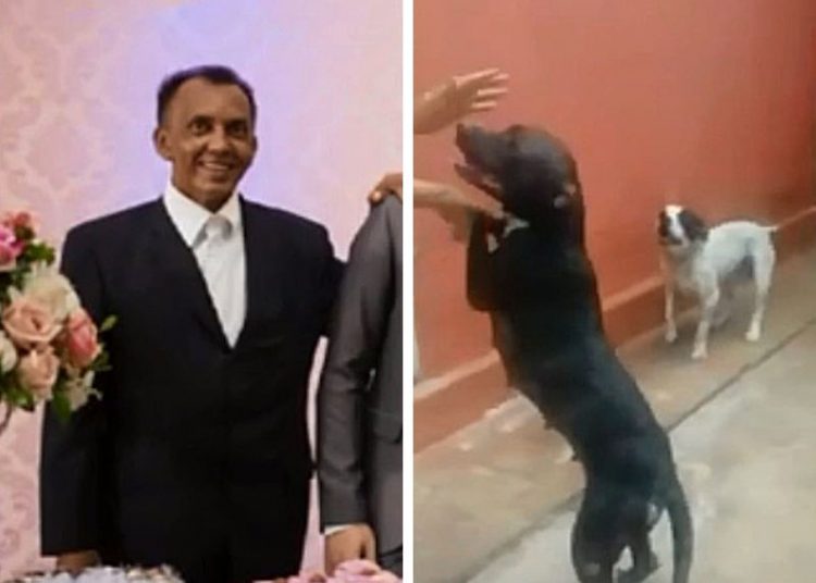 Atacado pelos próprios pit bulls, Edmilson Alves de Oliveira, de 55 anos, morreu em Goiânia | Foto: Arquivo Pessoal