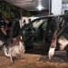 Veja como denunciar som alto pelo WhatsApp da Semma em Aparecida | Foto: Genésio Carneiro