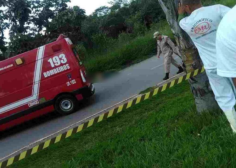 Varredor atropelado Canedo