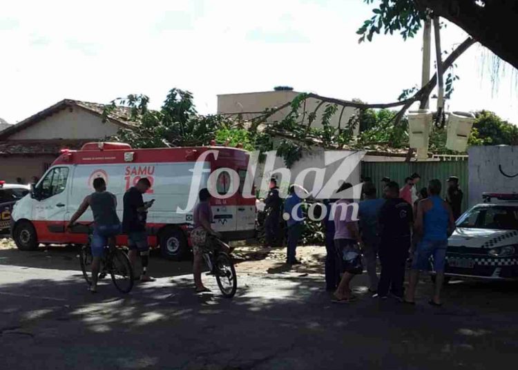 Funcionário da Prefeitura de Goiânia cai de árvore e morre