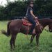 Irmã de vereadora de Goiânia cai de cavalo e fica gravemente ferida