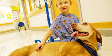 Câmara autoriza entrada de animais em hospitais de Aparecida para auxiliar no tratamento de pacientes