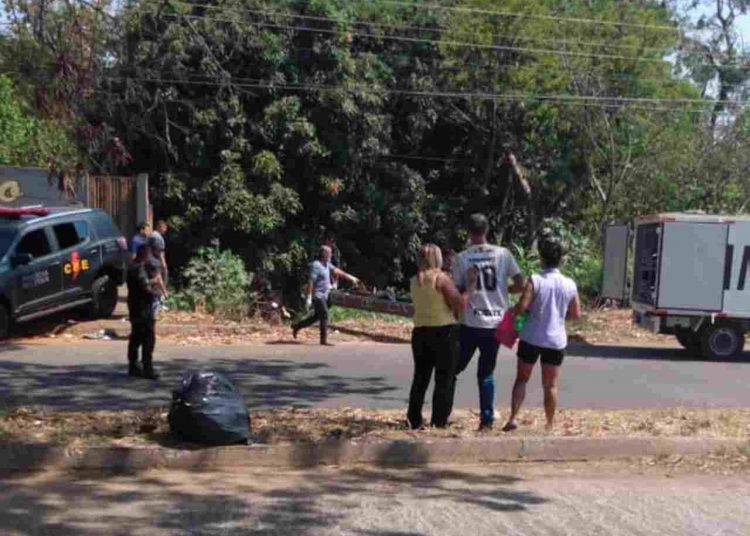 confronto Jardim Tropical