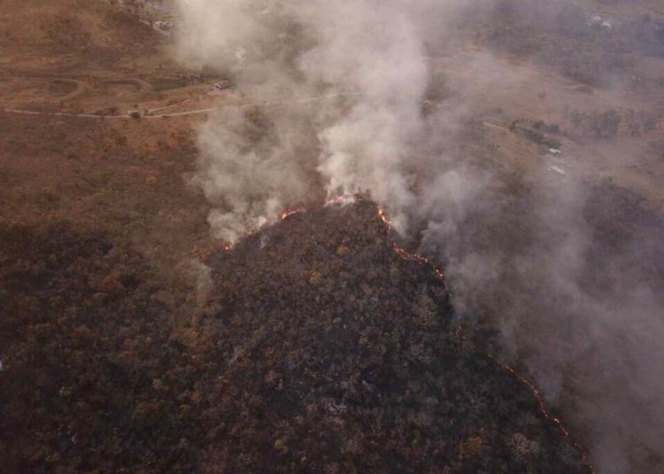 incêndio Serra Areia Aparecida