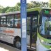 Linhas ônibus Aparecida mudanças