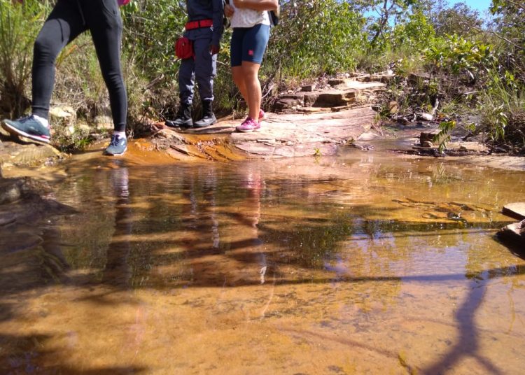 nascente córrego Santo Antônio Aparecida